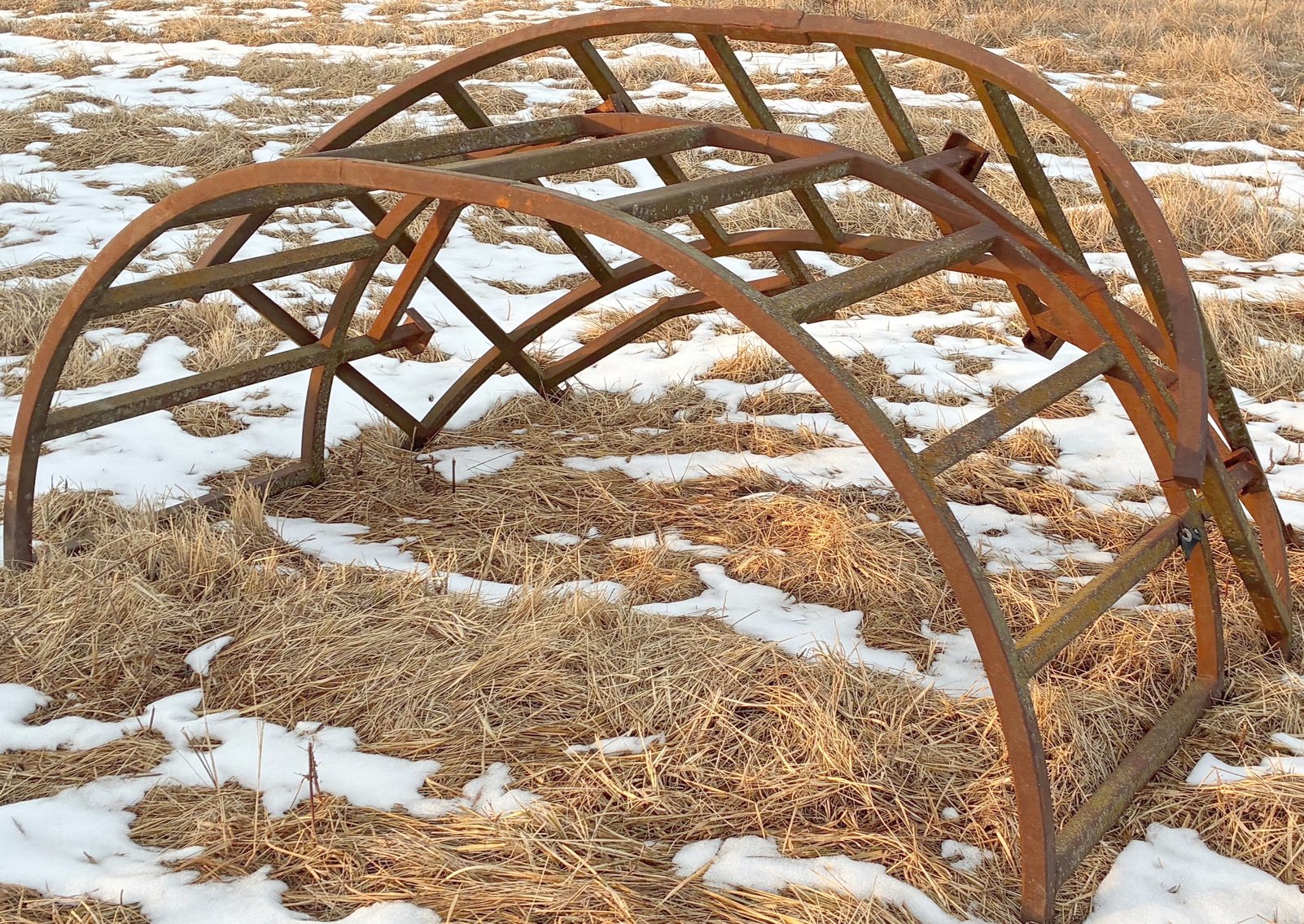 Image for MEGA 3-RING AUCTION