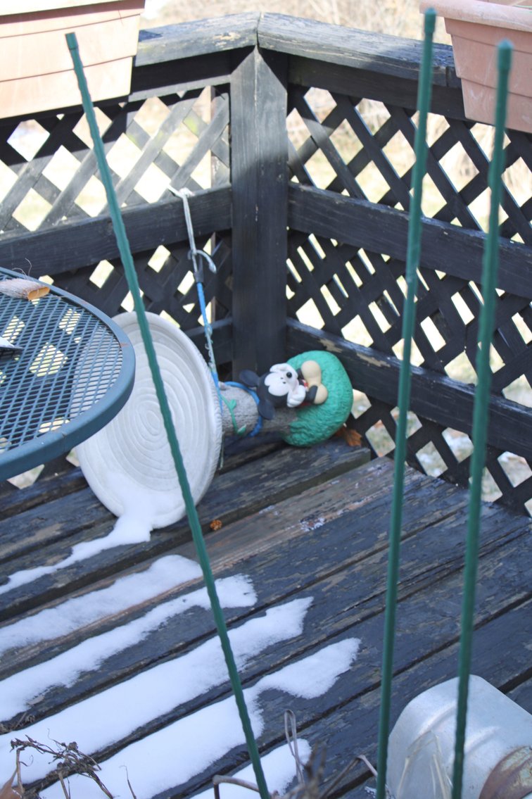 Image for EMERGENCY ESTATE AUCTION