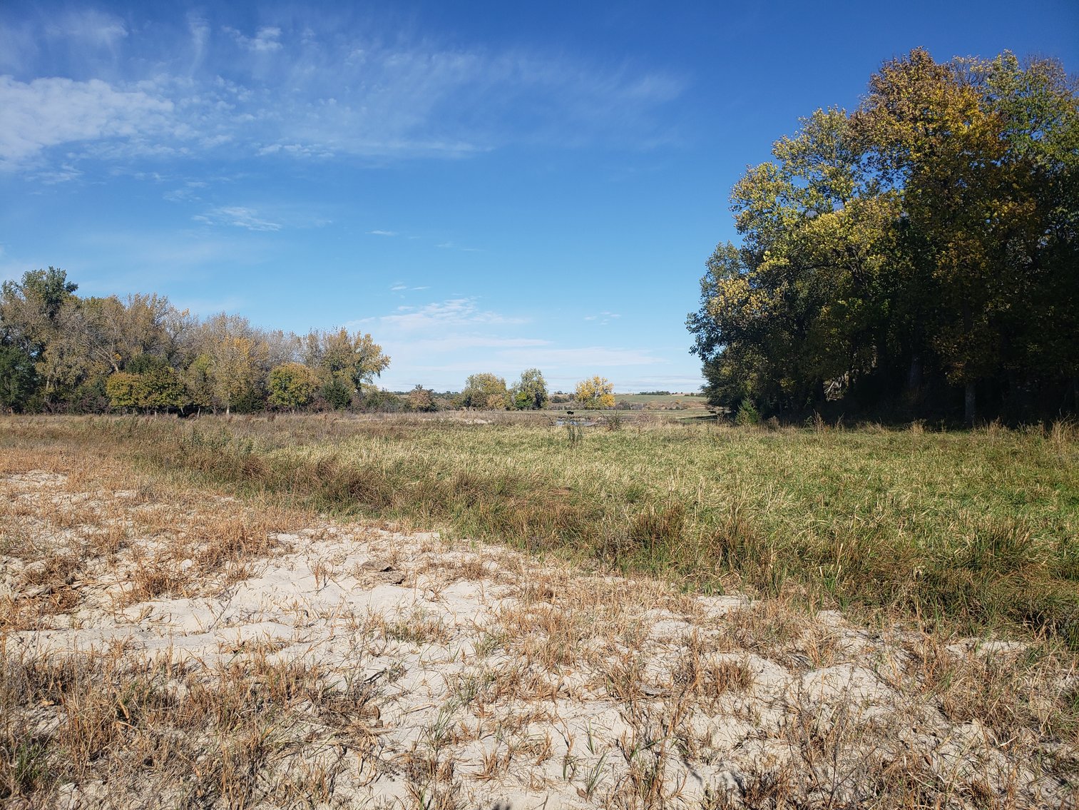 Image for 60+/- Acres in Buffalo County, NE
