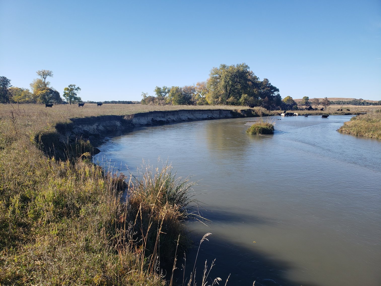 Image for 60+/- Acres in Buffalo County, NE