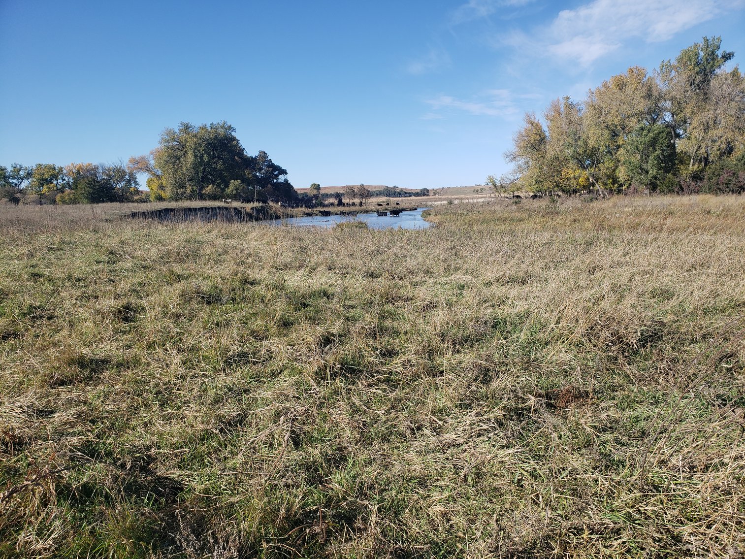 Image for 60+/- Acres in Buffalo County, NE