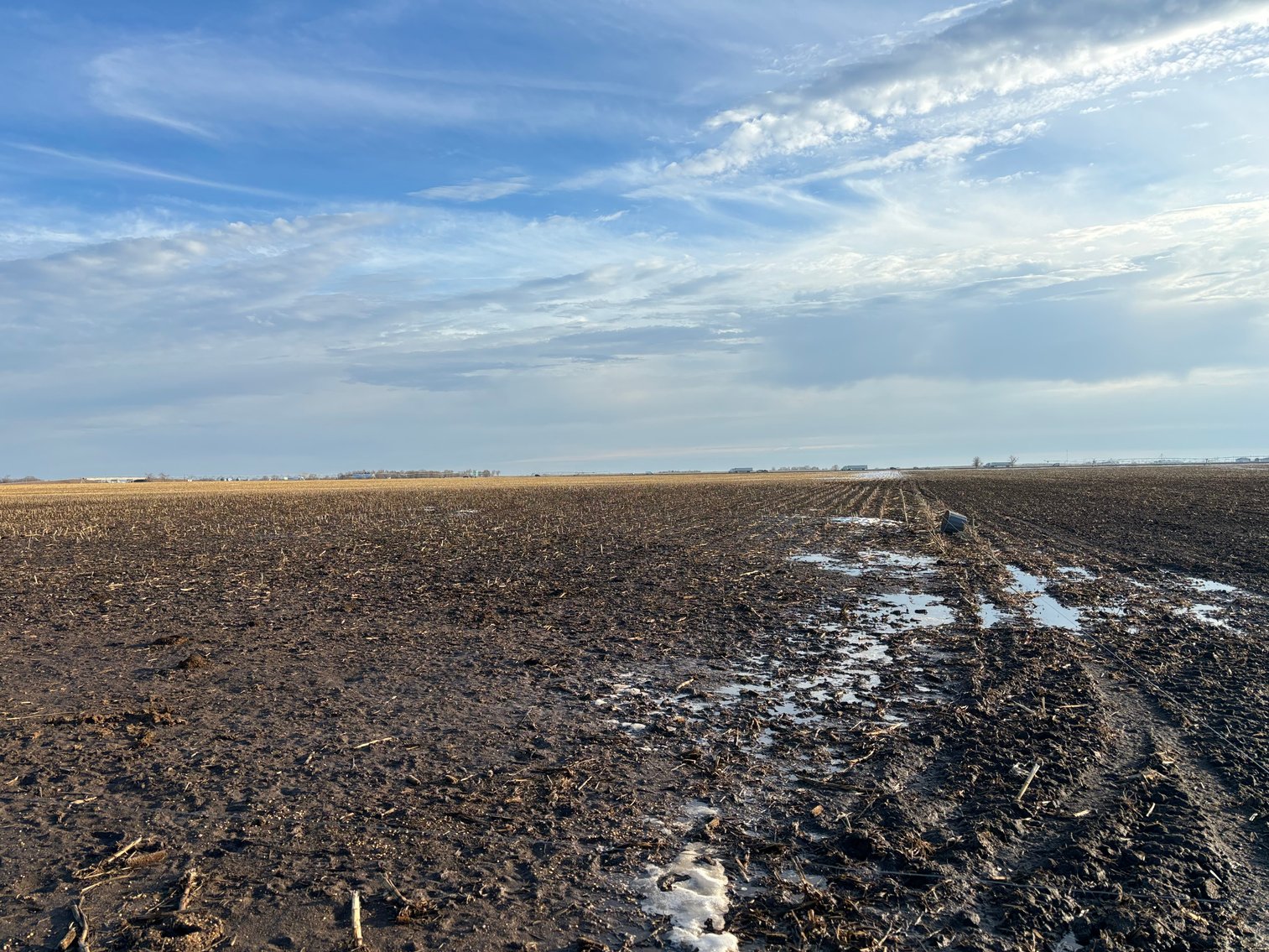 Image for 153.56+/- Acres in York County, Nebraska