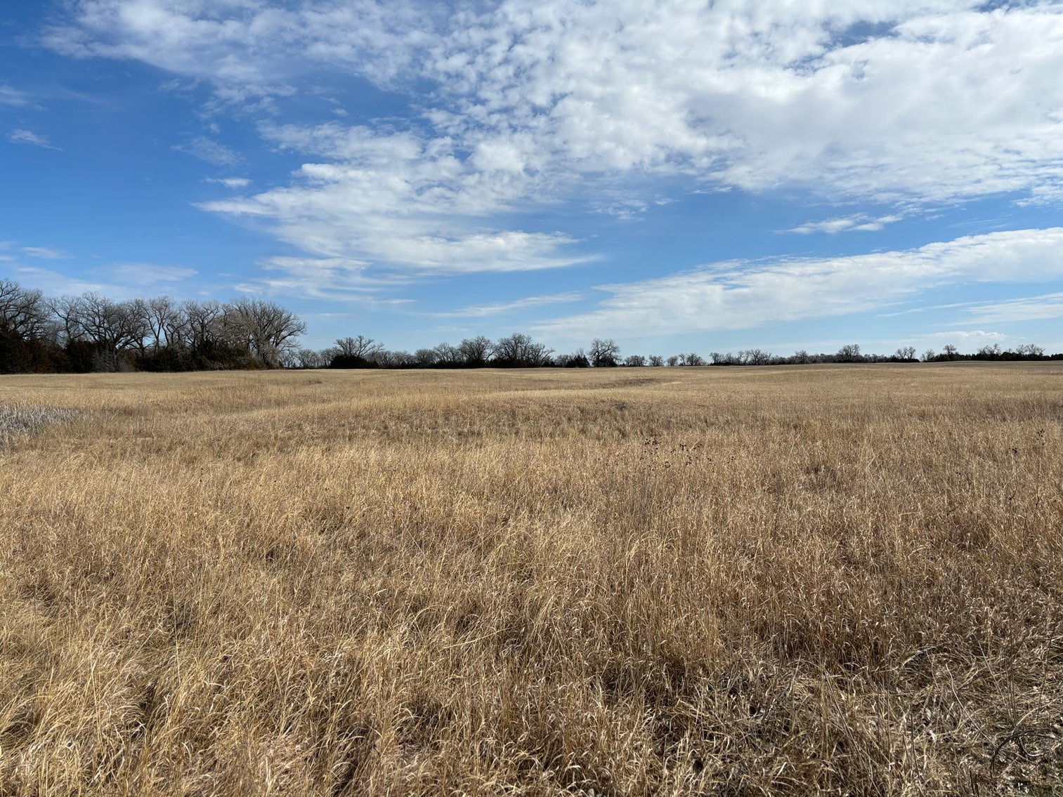Image for 160+/- Acres in Keya Paha County, Nebraska