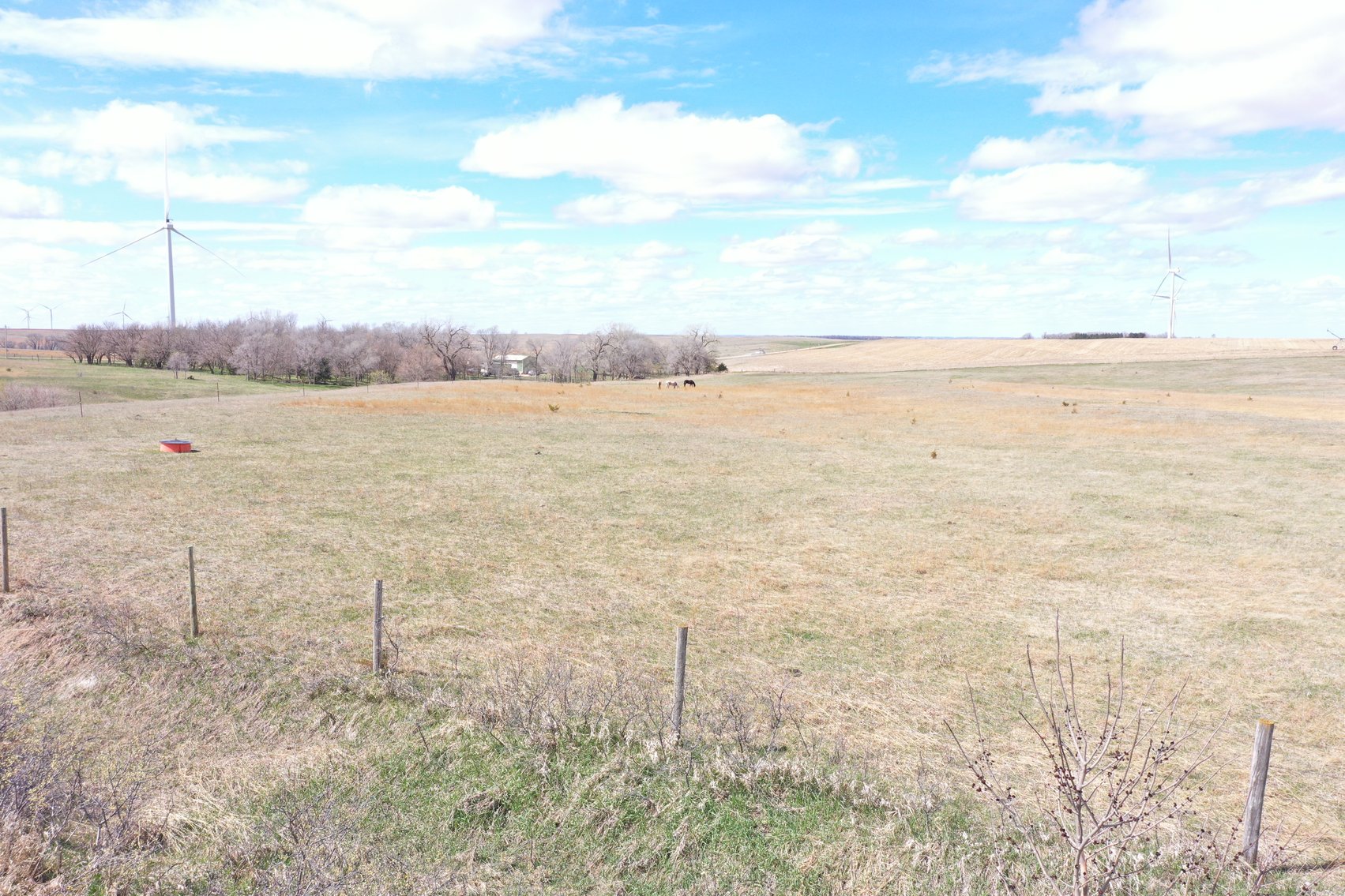 Image for 40+/- Acres in Northern Holt County, NE