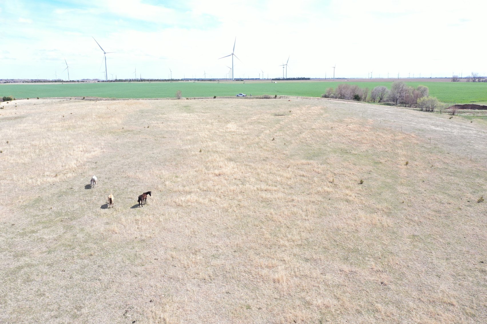 Image for 40+/- Acres in Northern Holt County, NE