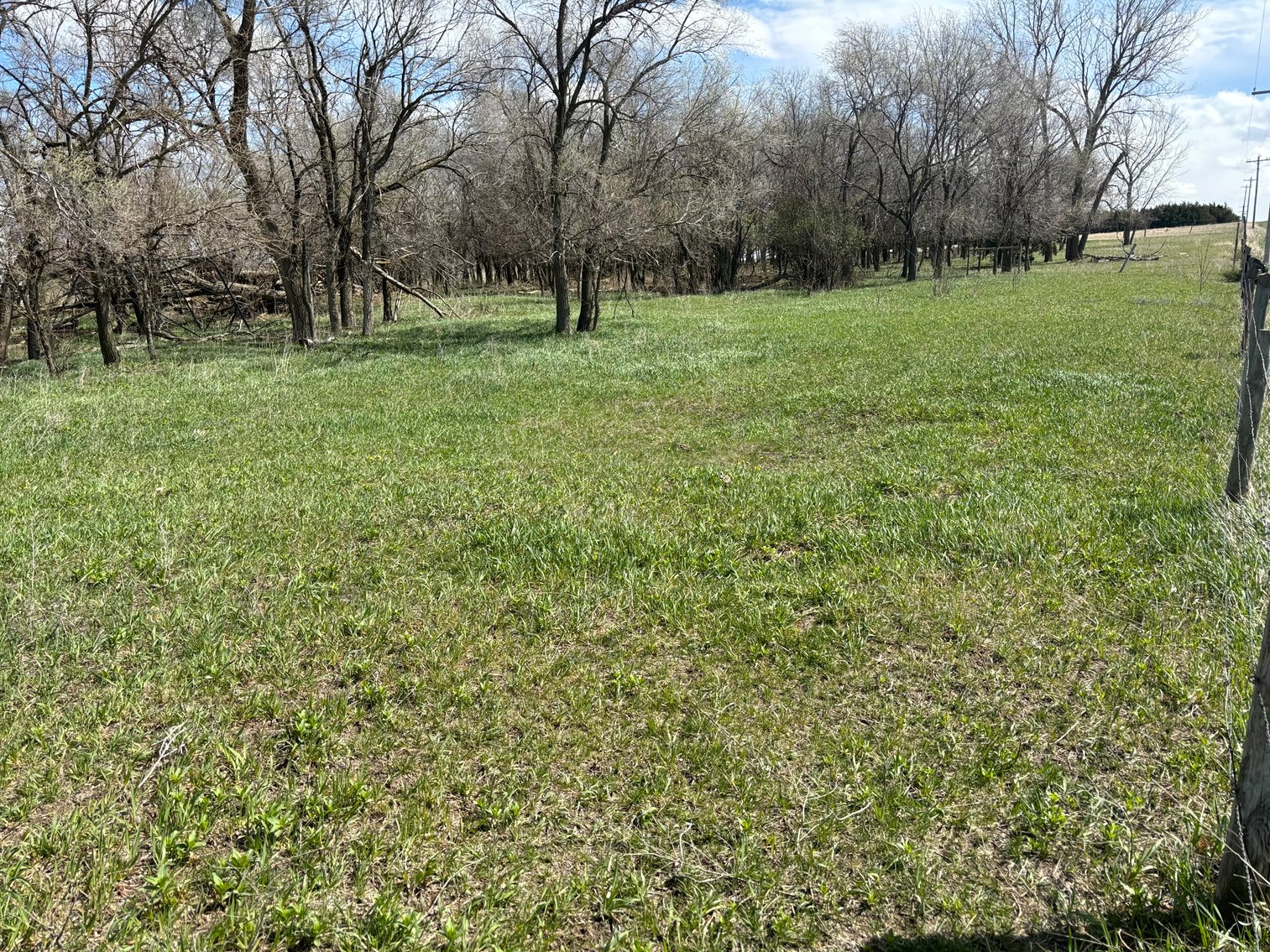 Image for 40+/- Acres in Northern Holt County, NE