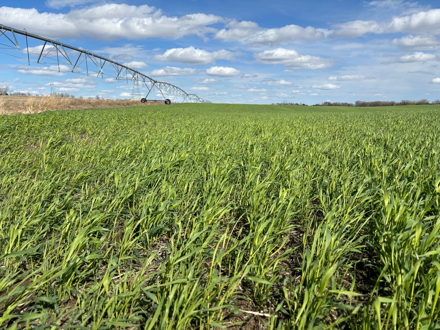 Image for 400+/- Acres in Southwest of Orchard, NE