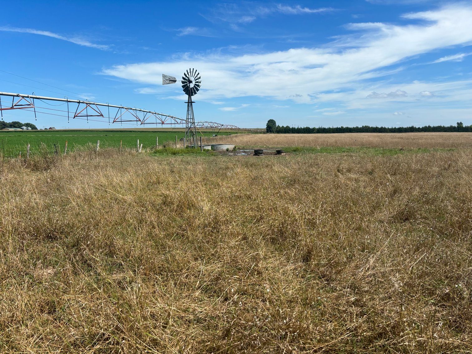 Image for 35.01+/- Deeded Acres in Holt County, NE located South of Page