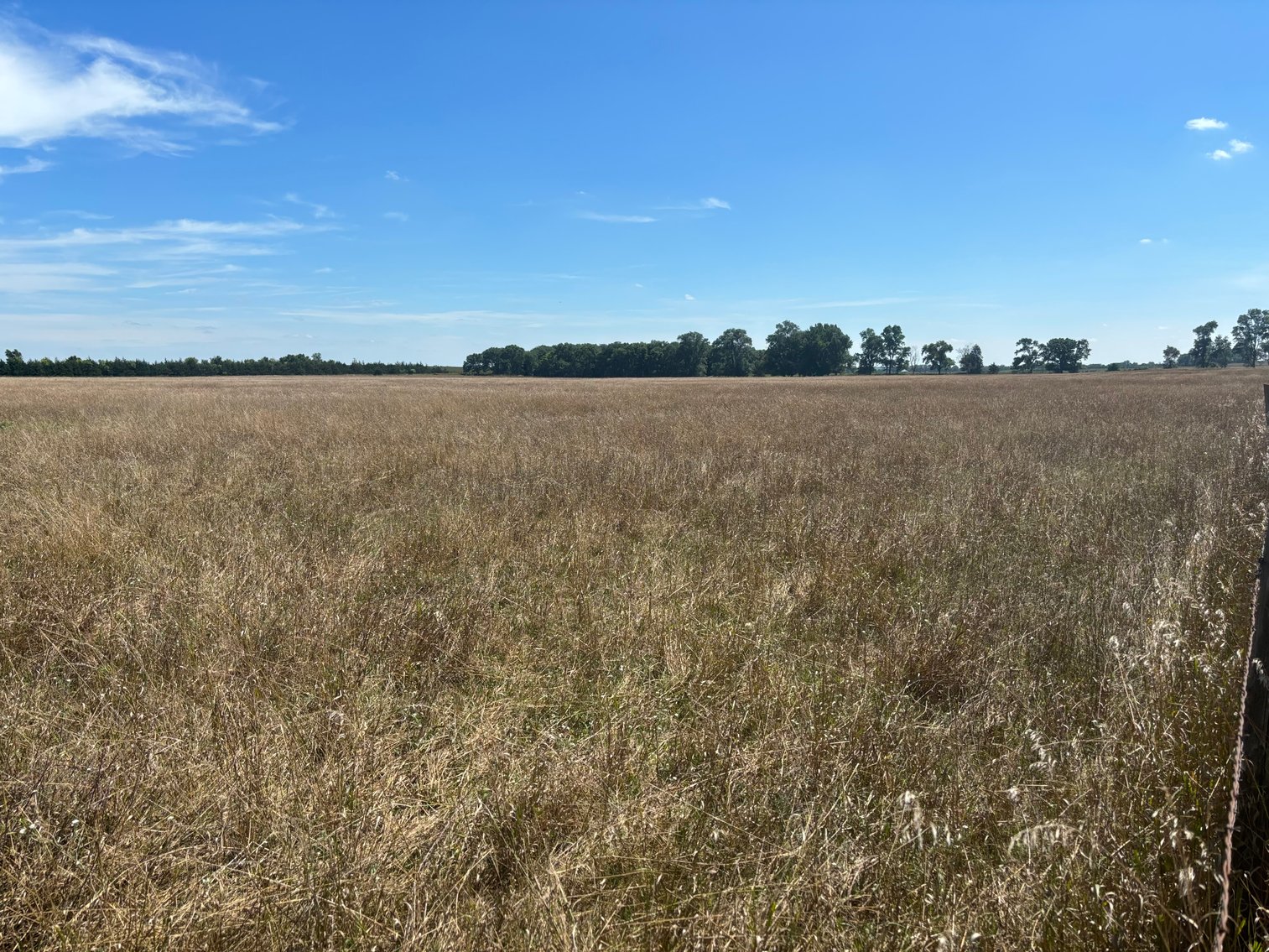 Image for 35.01+/- Deeded Acres in Holt County, NE located South of Page