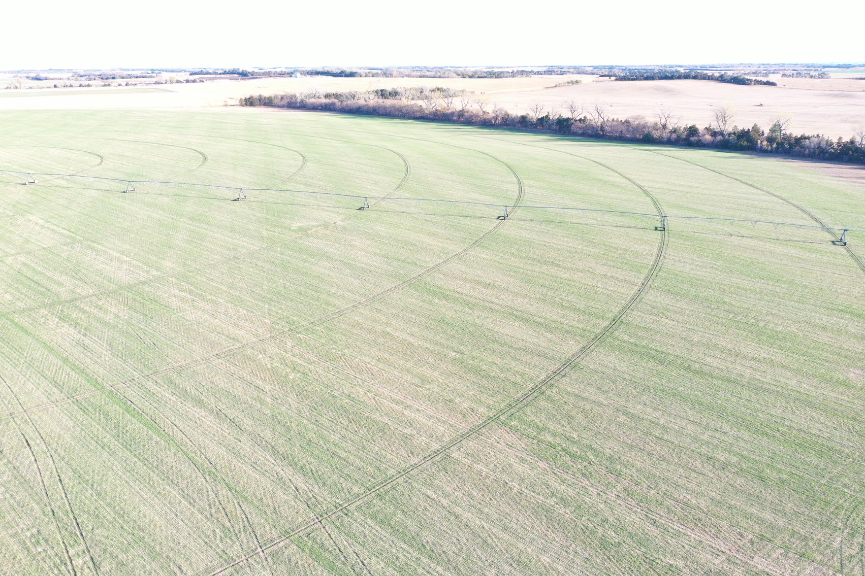 Image for 320+/- Acres in Holt County North of Ewing, NE