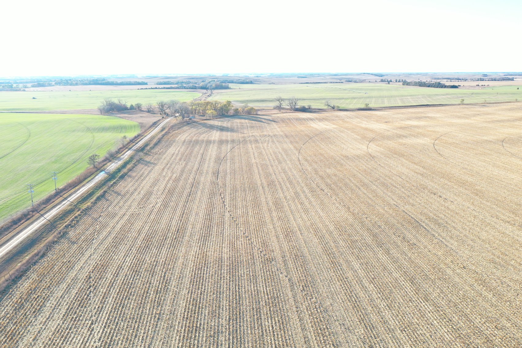 Image for 320+/- Acres in Holt County North of Ewing, NE