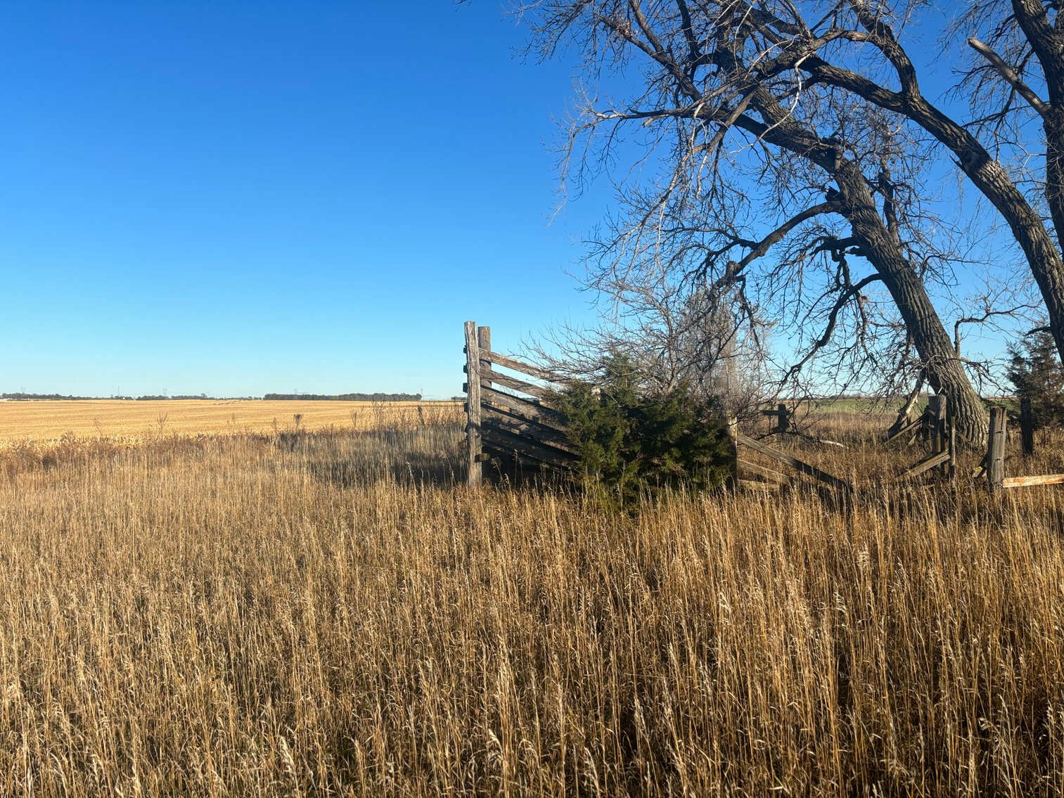Image for 320+/- Acres in Holt County North of Ewing, NE