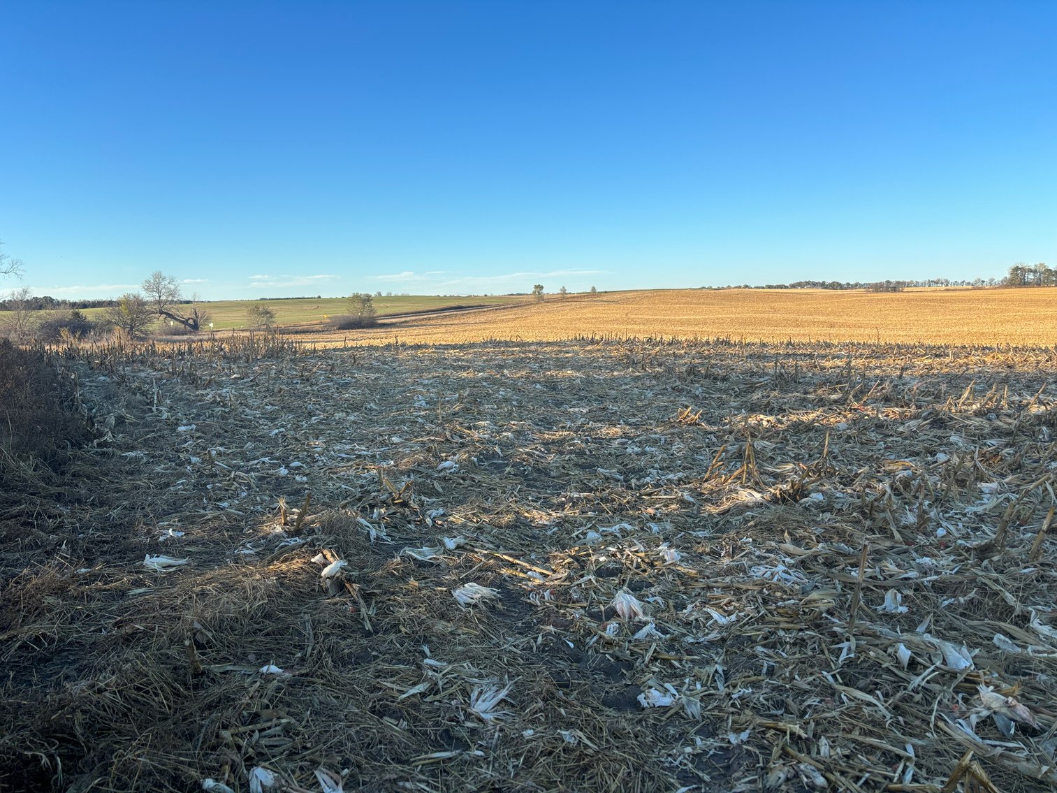 Image for 320+/- Acres in Holt County North of Ewing, NE