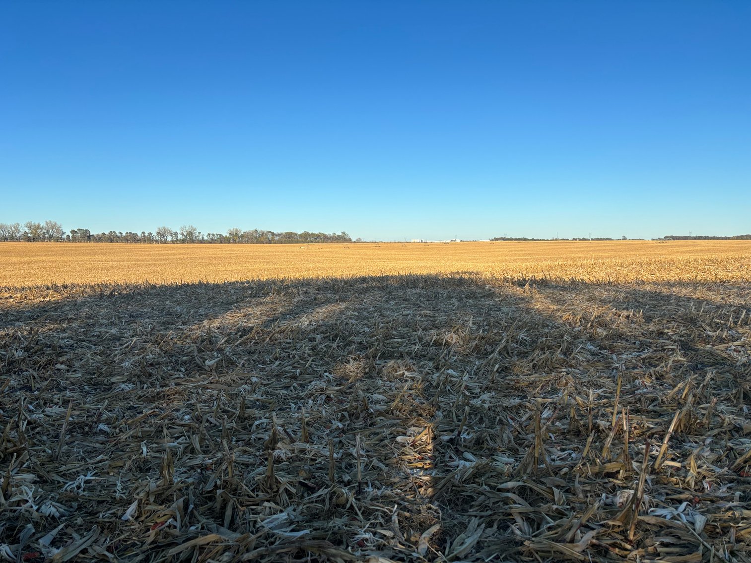 Image for 320+/- Acres in Holt County North of Ewing, NE