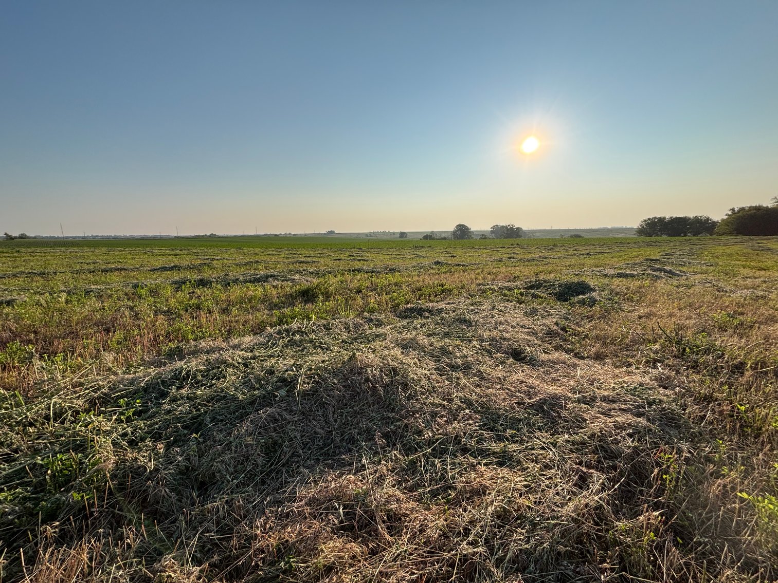 Image for Farm Headquarters with 157.06+/- Acres in Holt County, NE