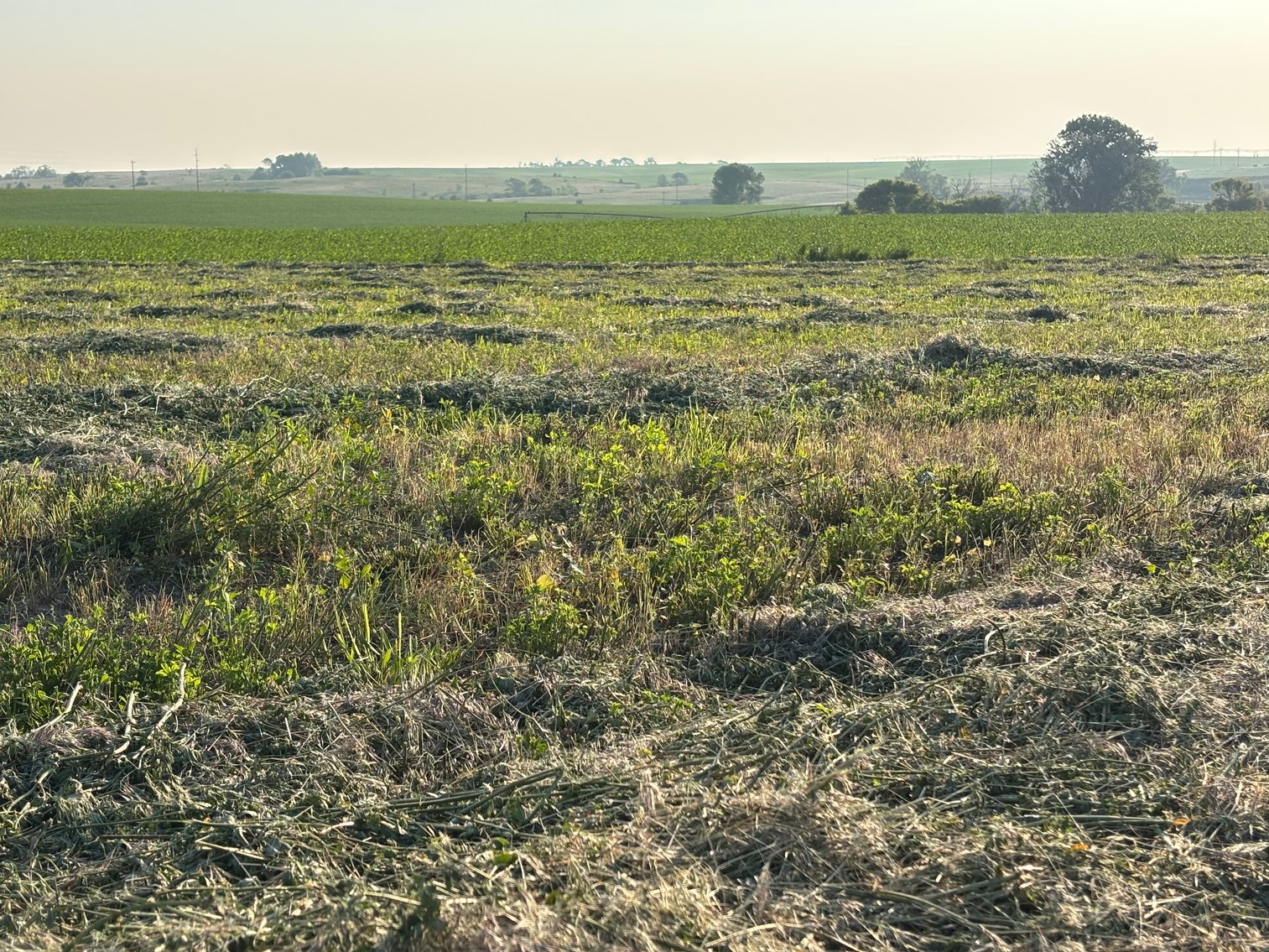 Image for Farm Headquarters with 157.06+/- Acres in Holt County, NE