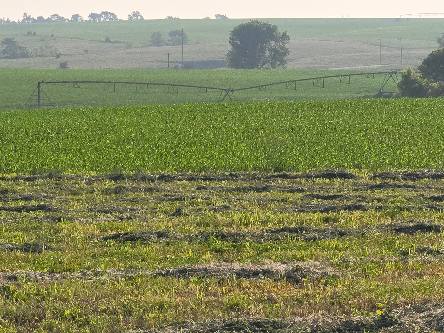 Image for Farm Headquarters with 157.06+/- Acres in Holt County, NE