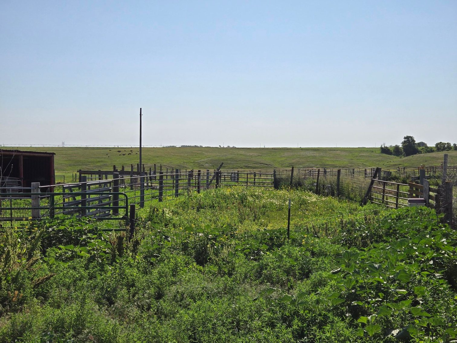 Image for Farm Headquarters with 157.06+/- Acres in Holt County, NE