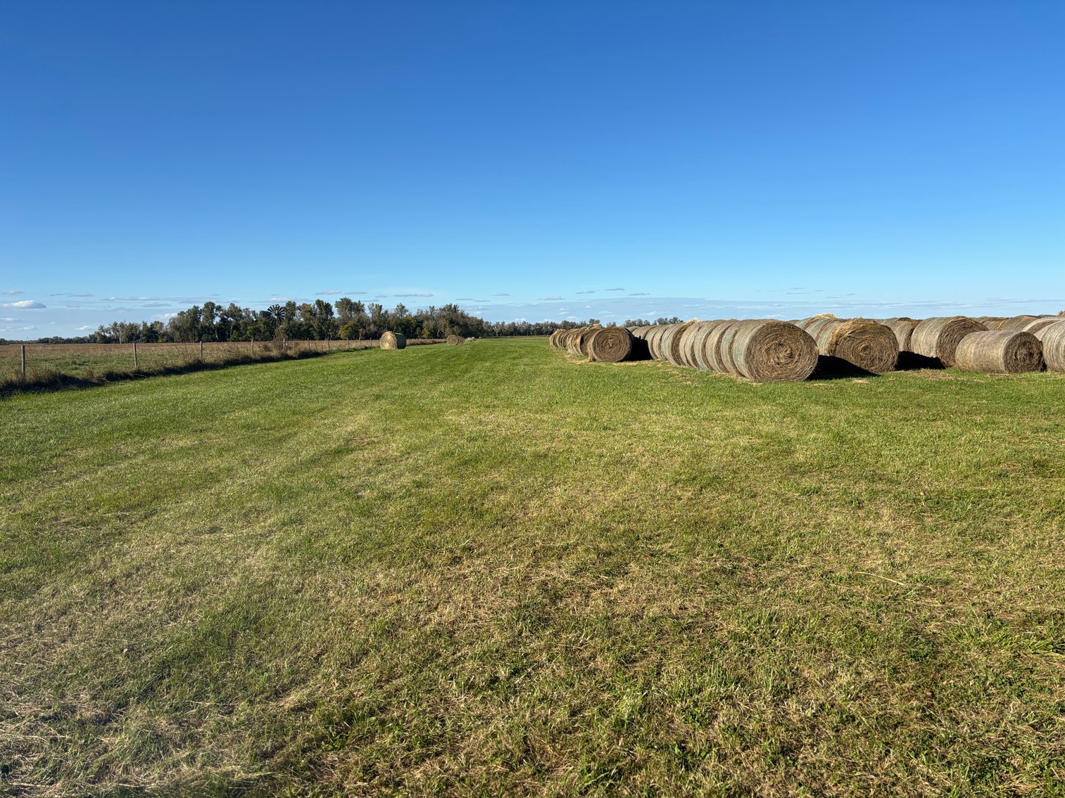 Image for 160+/- Acres of Sub-irrigated hay meadow in Holt County, NE