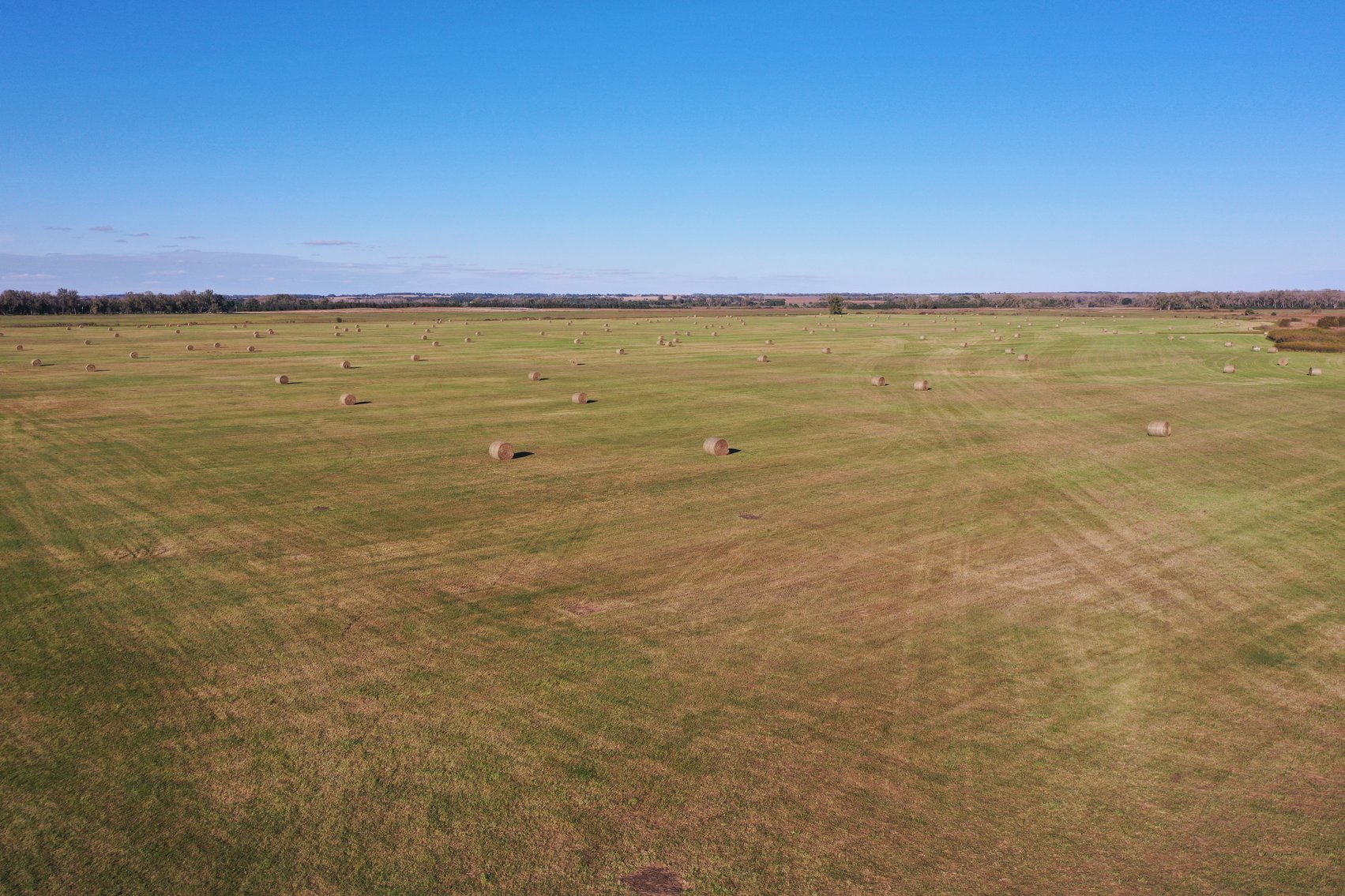 Image for 160+/- Acres of Sub-irrigated hay meadow in Holt County, NE