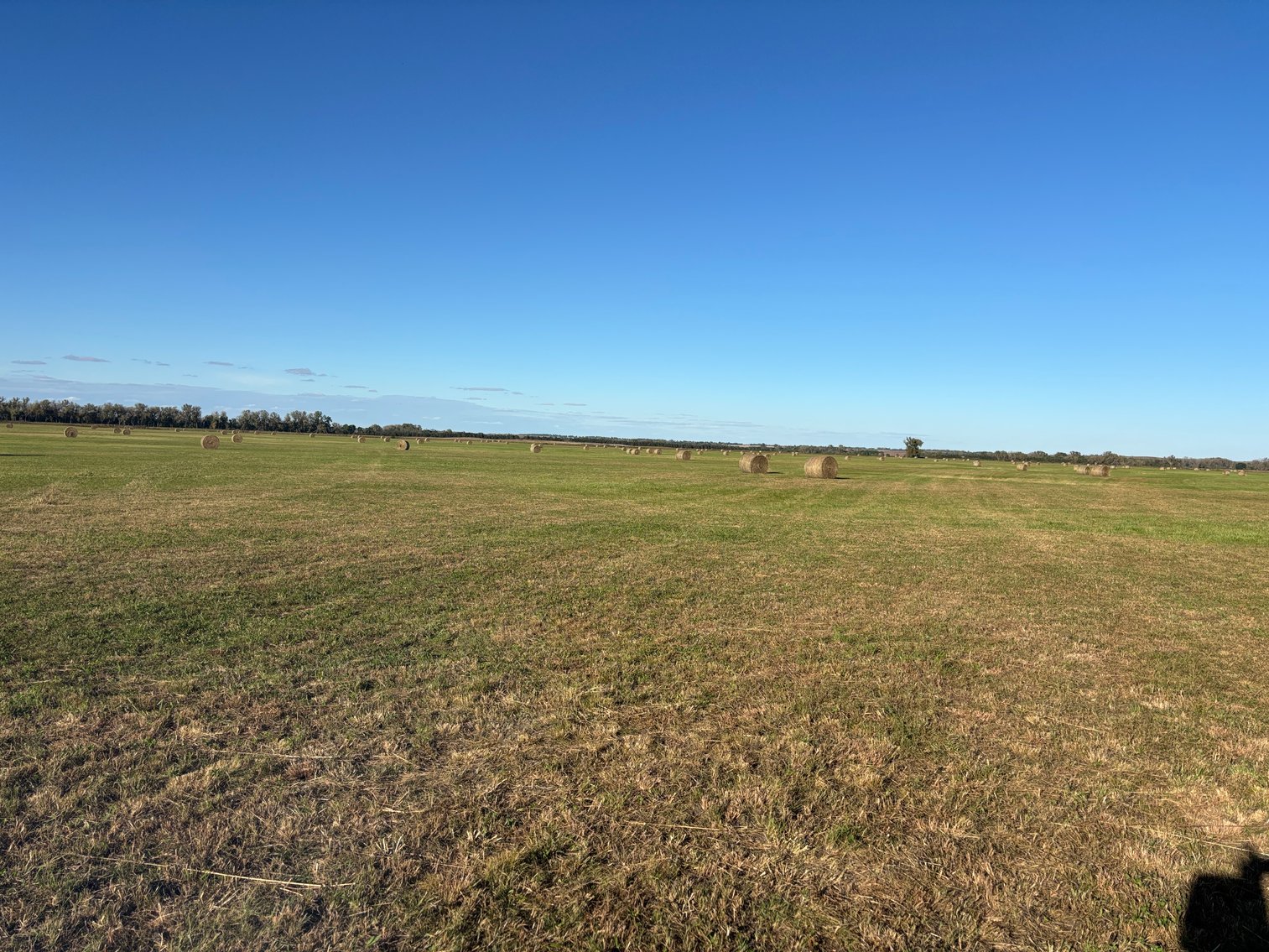Image for 160+/- Acres of Sub-irrigated hay meadow in Holt County, NE