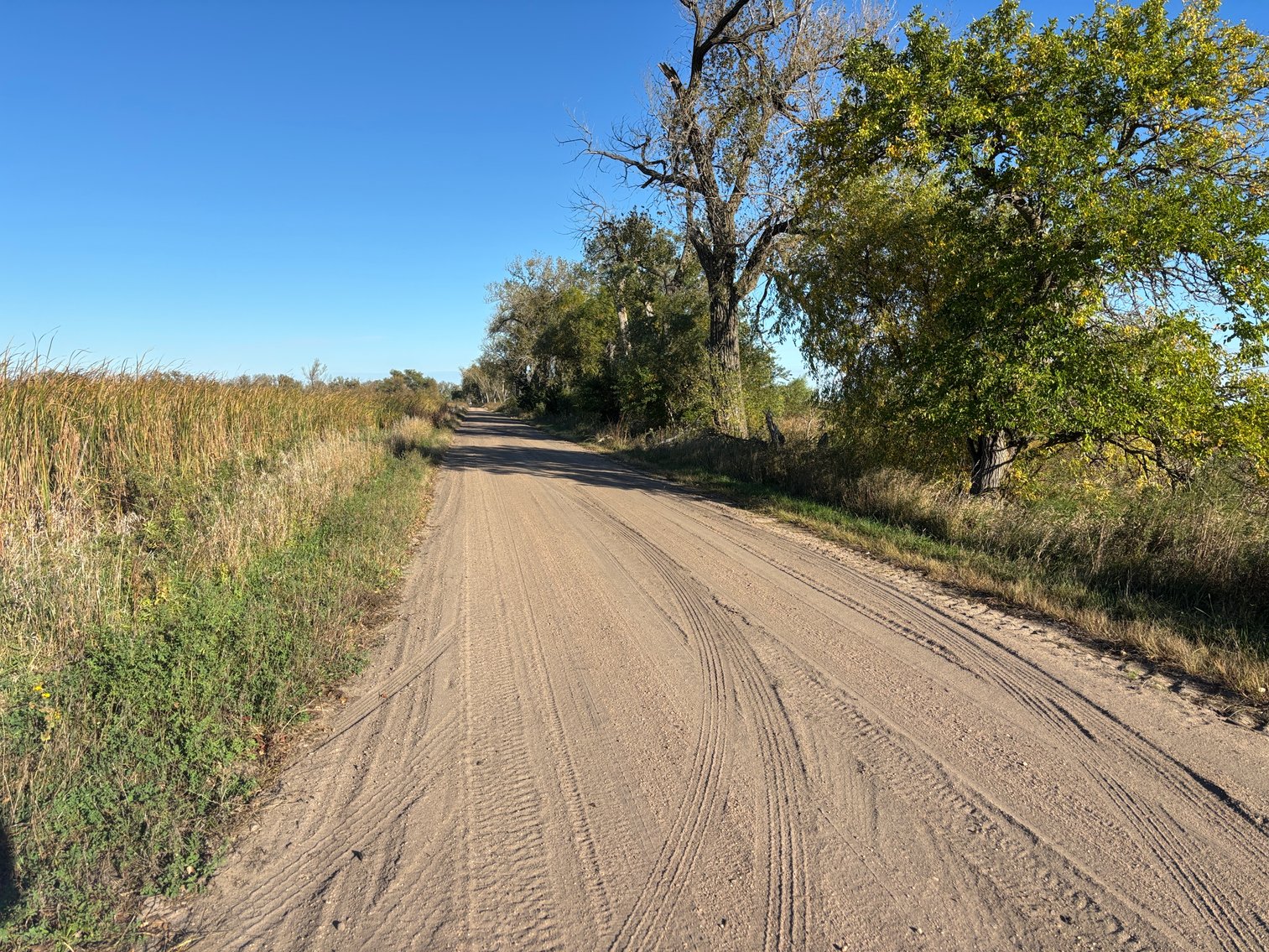Image for 160+/- Acres of Sub-irrigated hay meadow in Holt County, NE