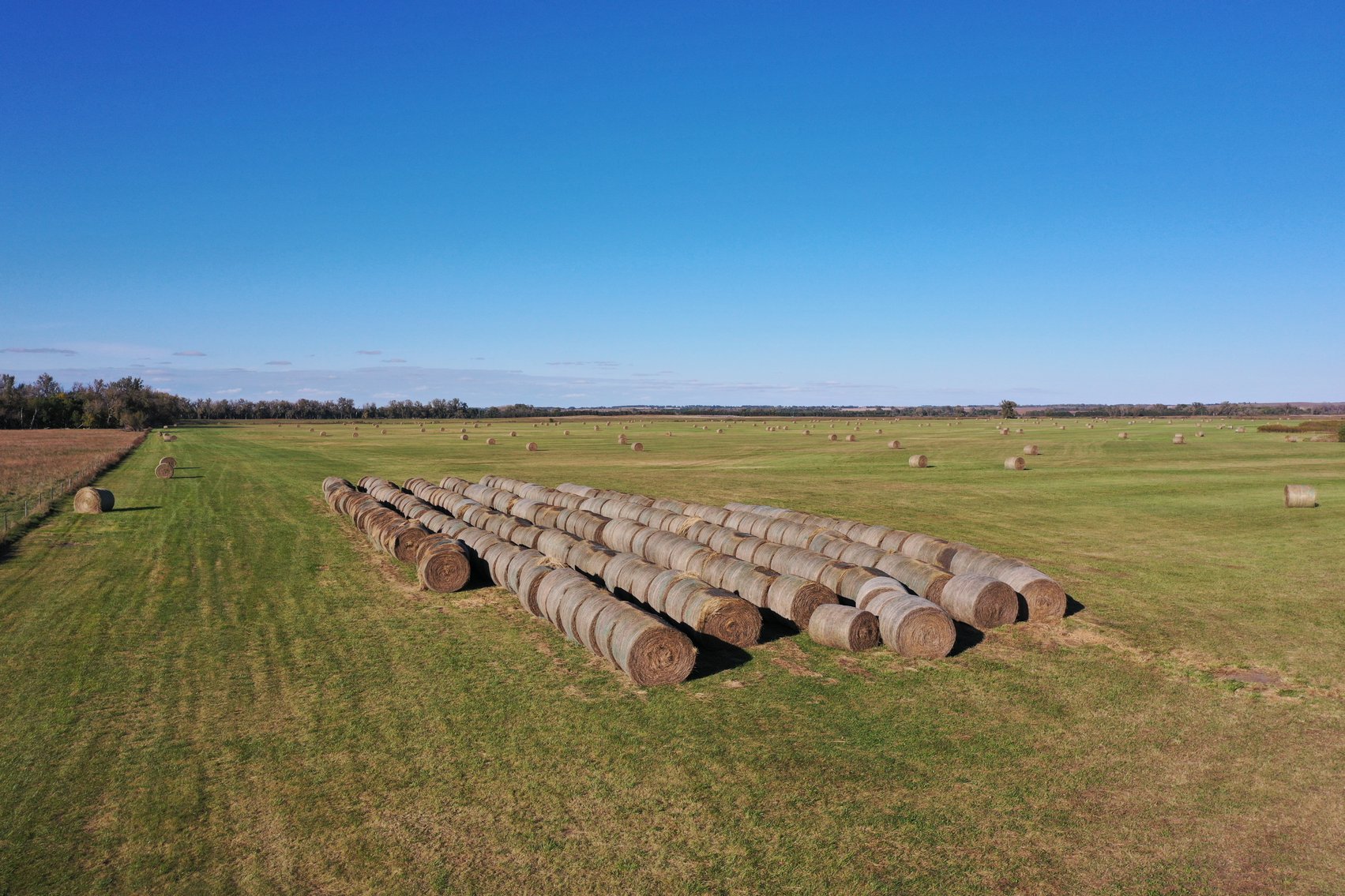 Image for 160+/- Acres of Sub-irrigated hay meadow in Holt County, NE