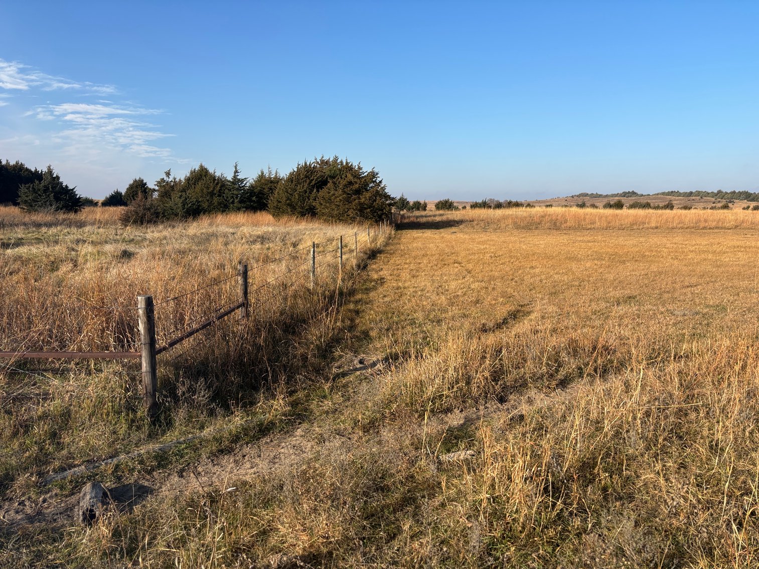 Image for 78.79+/- Acres by Ewing, NE in Holt County