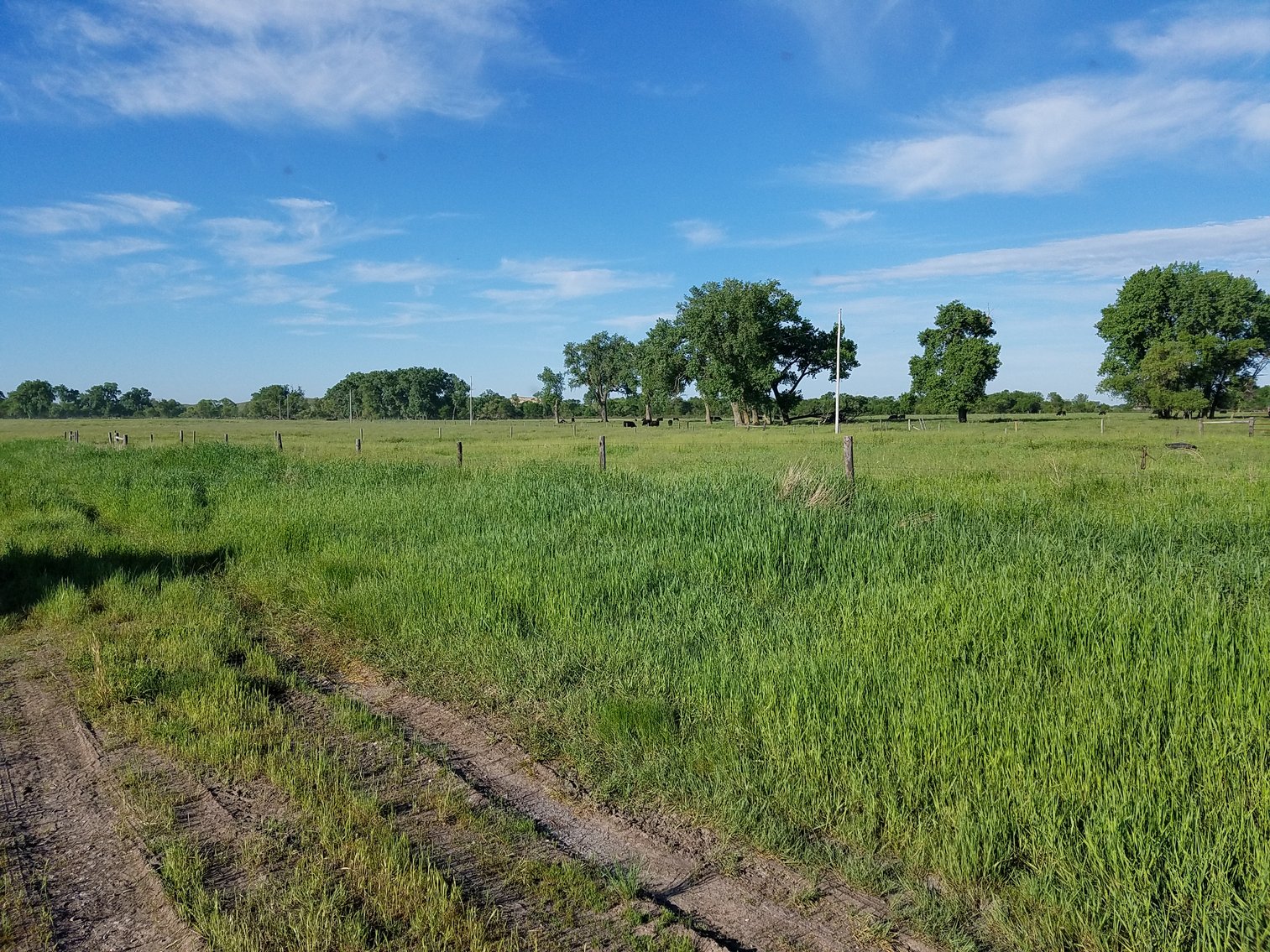 Image for 2,586.17+/- Acres in Holt County, NE Offered in 2 Tracts