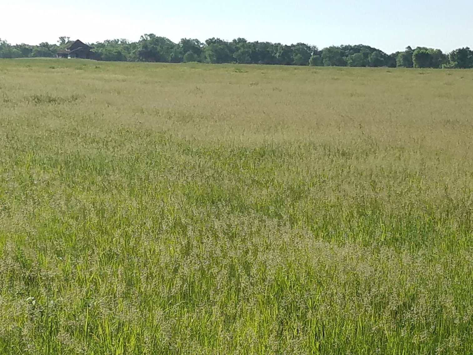 Image for 2,586.17+/- Acres in Holt County, NE Offered in 2 Tracts