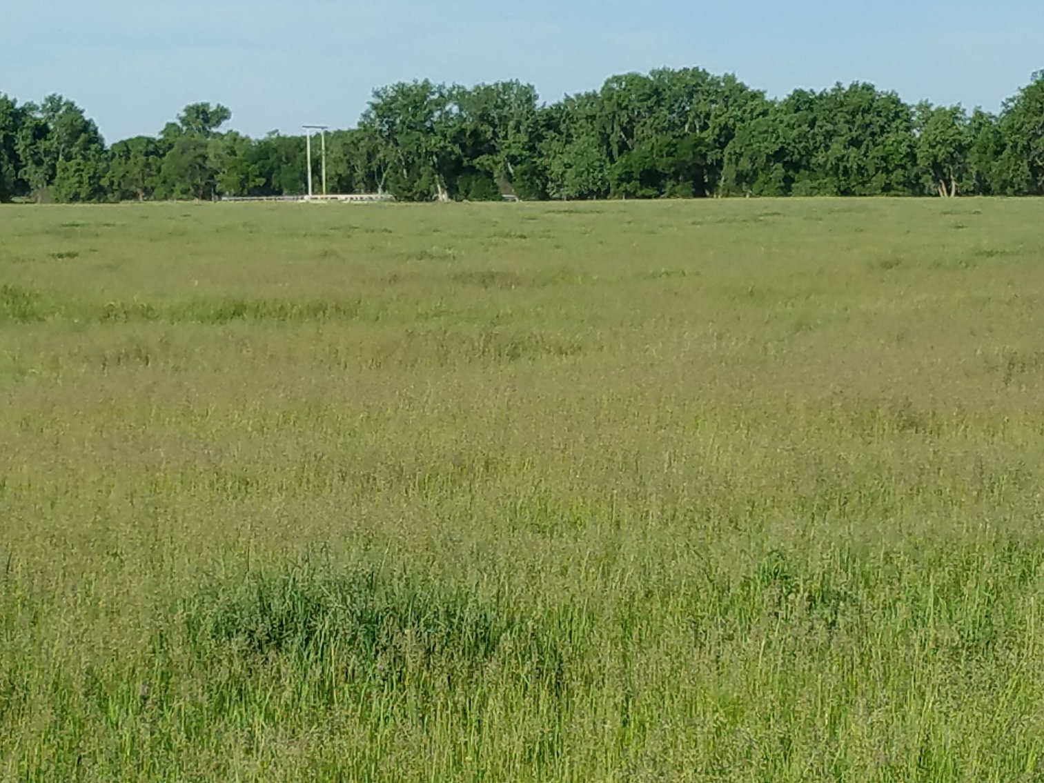 Image for 2,586.17+/- Acres in Holt County, NE Offered in 2 Tracts