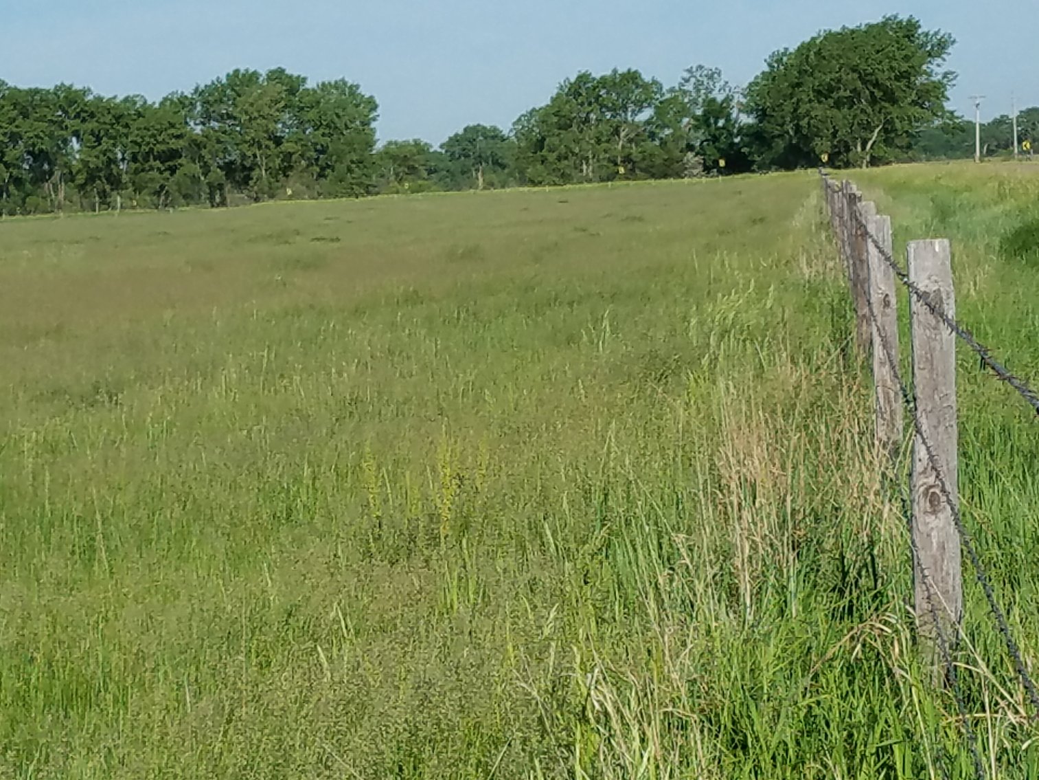 Image for 2,586.17+/- Acres in Holt County, NE Offered in 2 Tracts