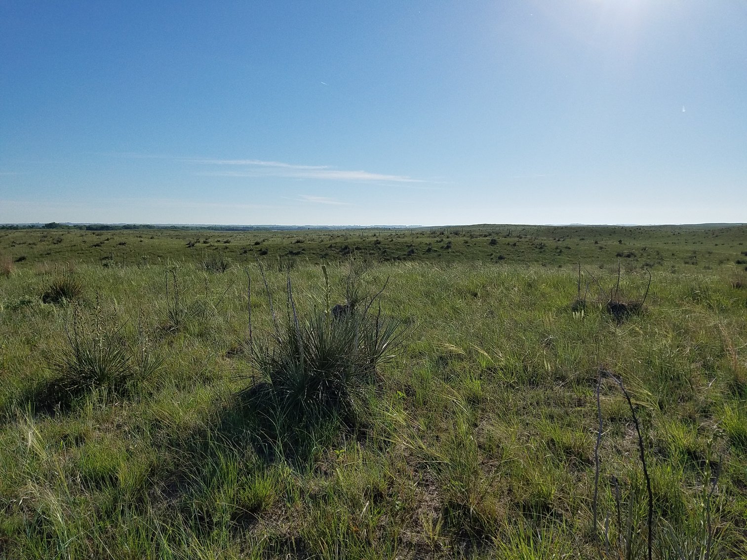 Image for 2,586.17+/- Acres in Holt County, NE Offered in 2 Tracts