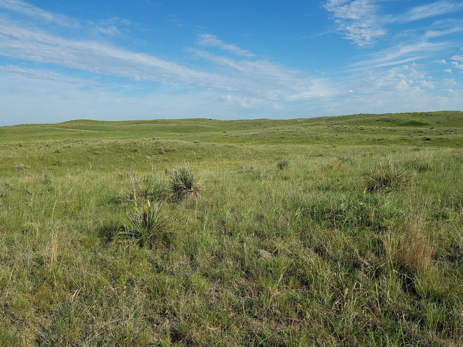 Image for 2,586.17+/- Acres in Holt County, NE Offered in 2 Tracts