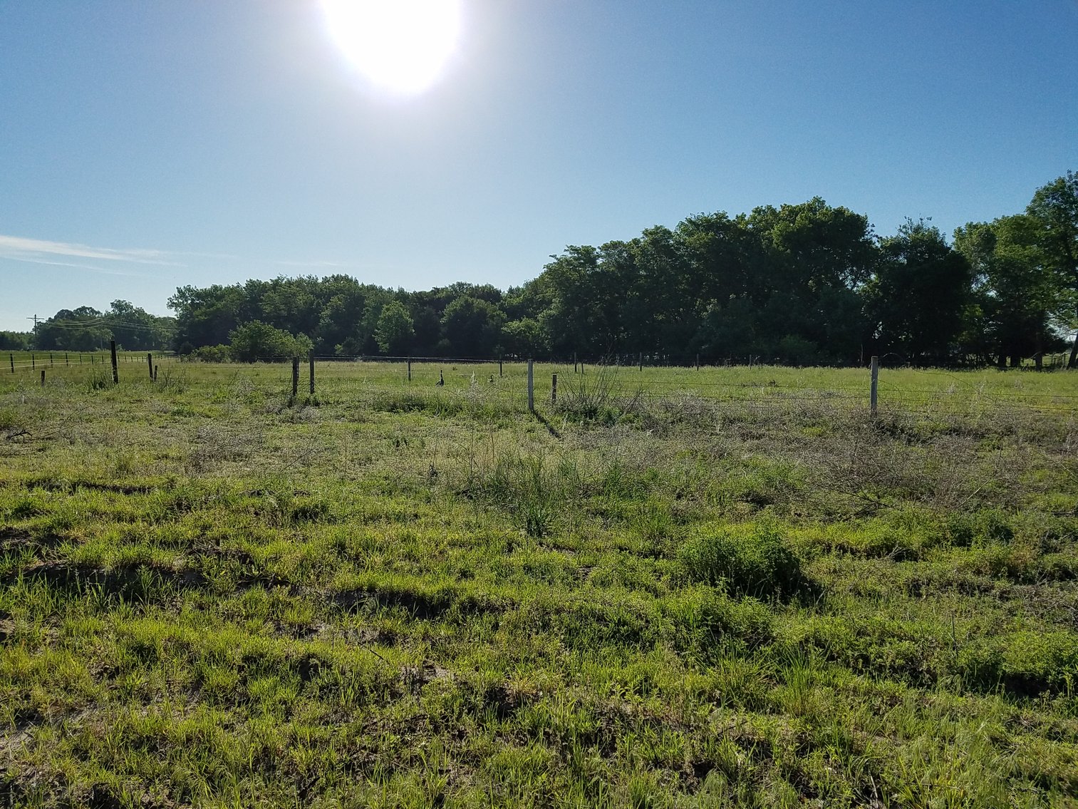 Image for 2,586.17+/- Acres in Holt County, NE Offered in 2 Tracts