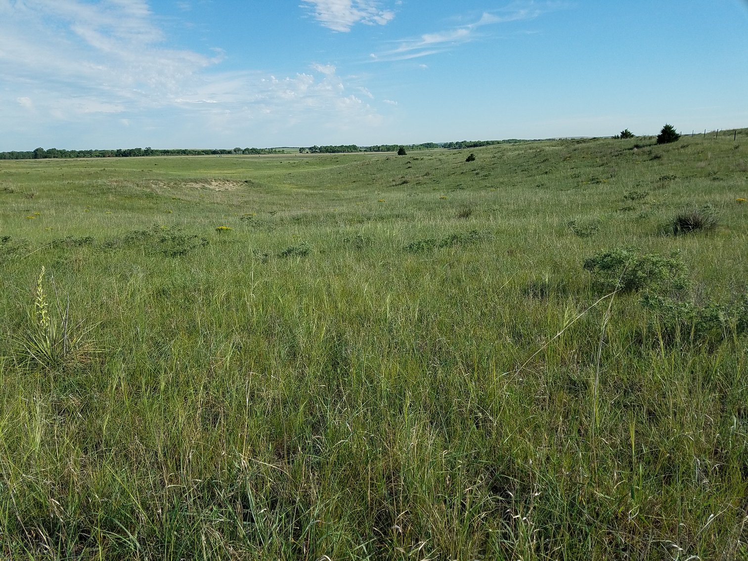 Image for 2,586.17+/- Acres in Holt County, NE Offered in 2 Tracts