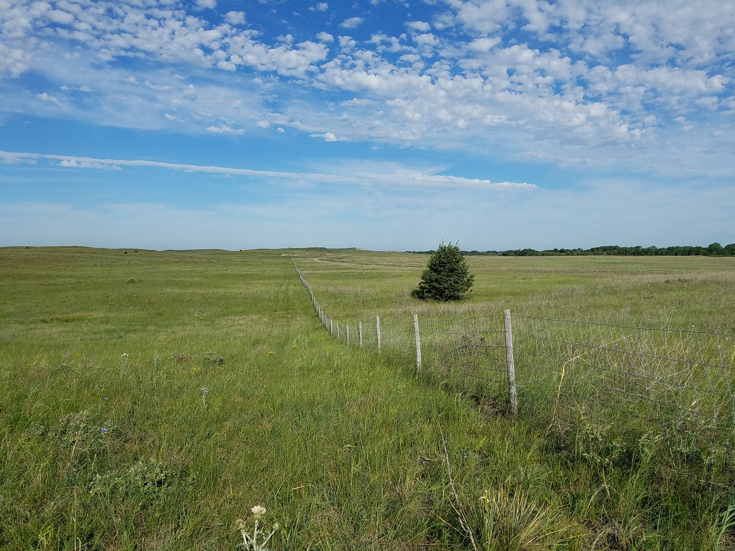 Image for 2,586.17+/- Acres in Holt County, NE Offered in 2 Tracts