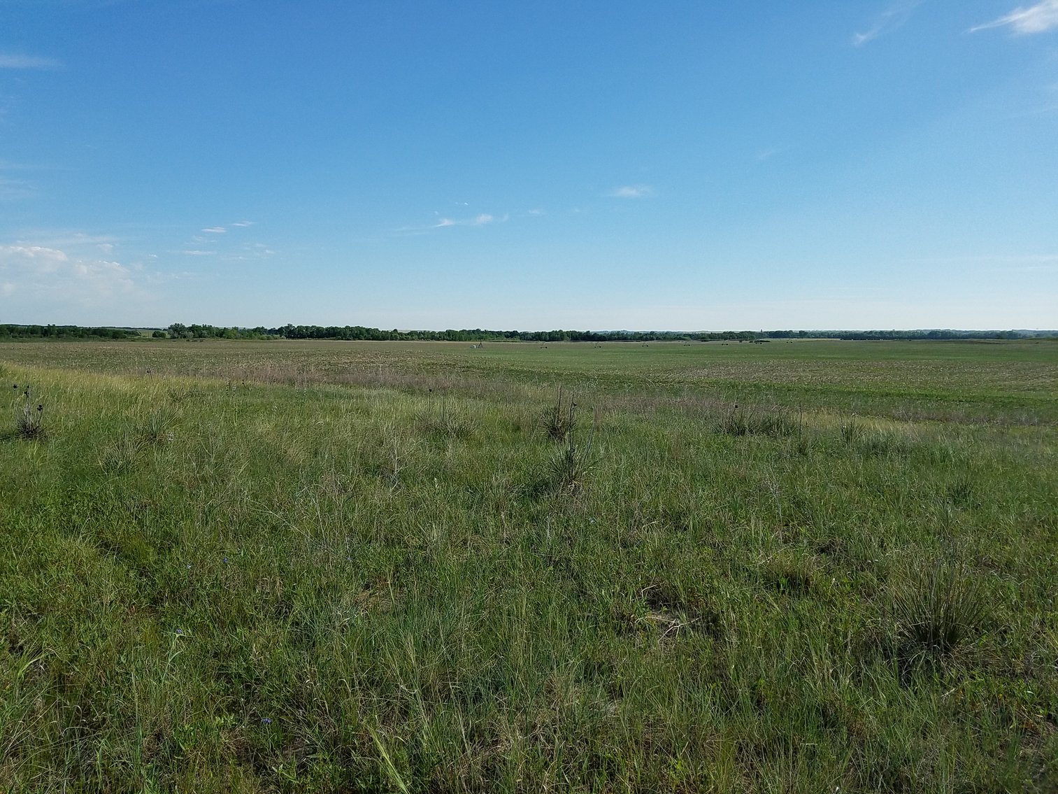 Image for 2,586.17+/- Acres in Holt County, NE Offered in 2 Tracts
