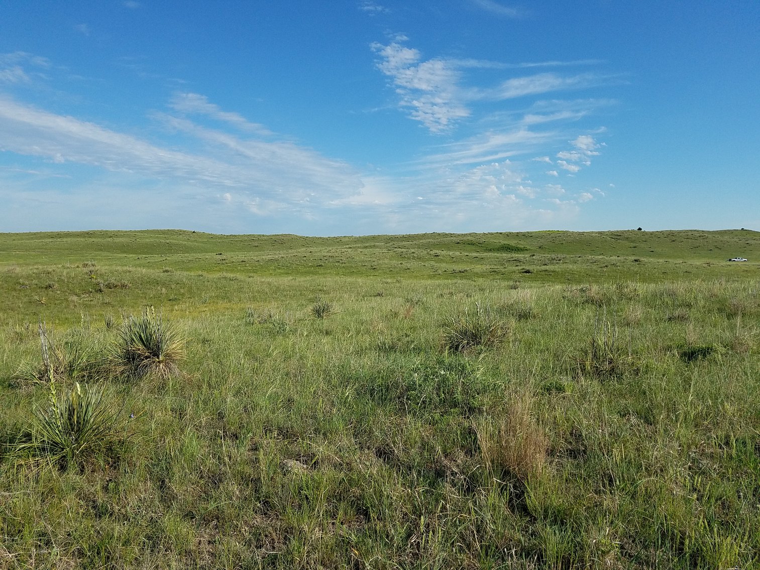 Image for 2,586.17+/- Acres in Holt County, NE Offered in 2 Tracts