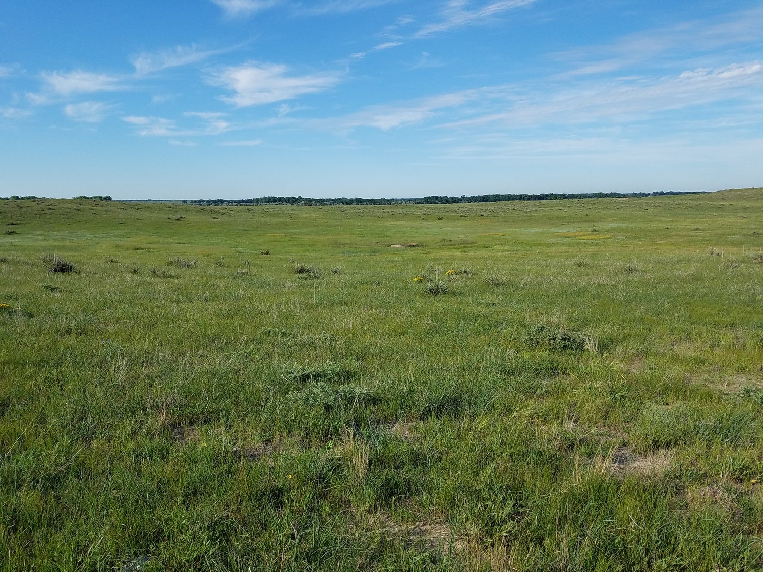 Image for 2,586.17+/- Acres in Holt County, NE Offered in 2 Tracts