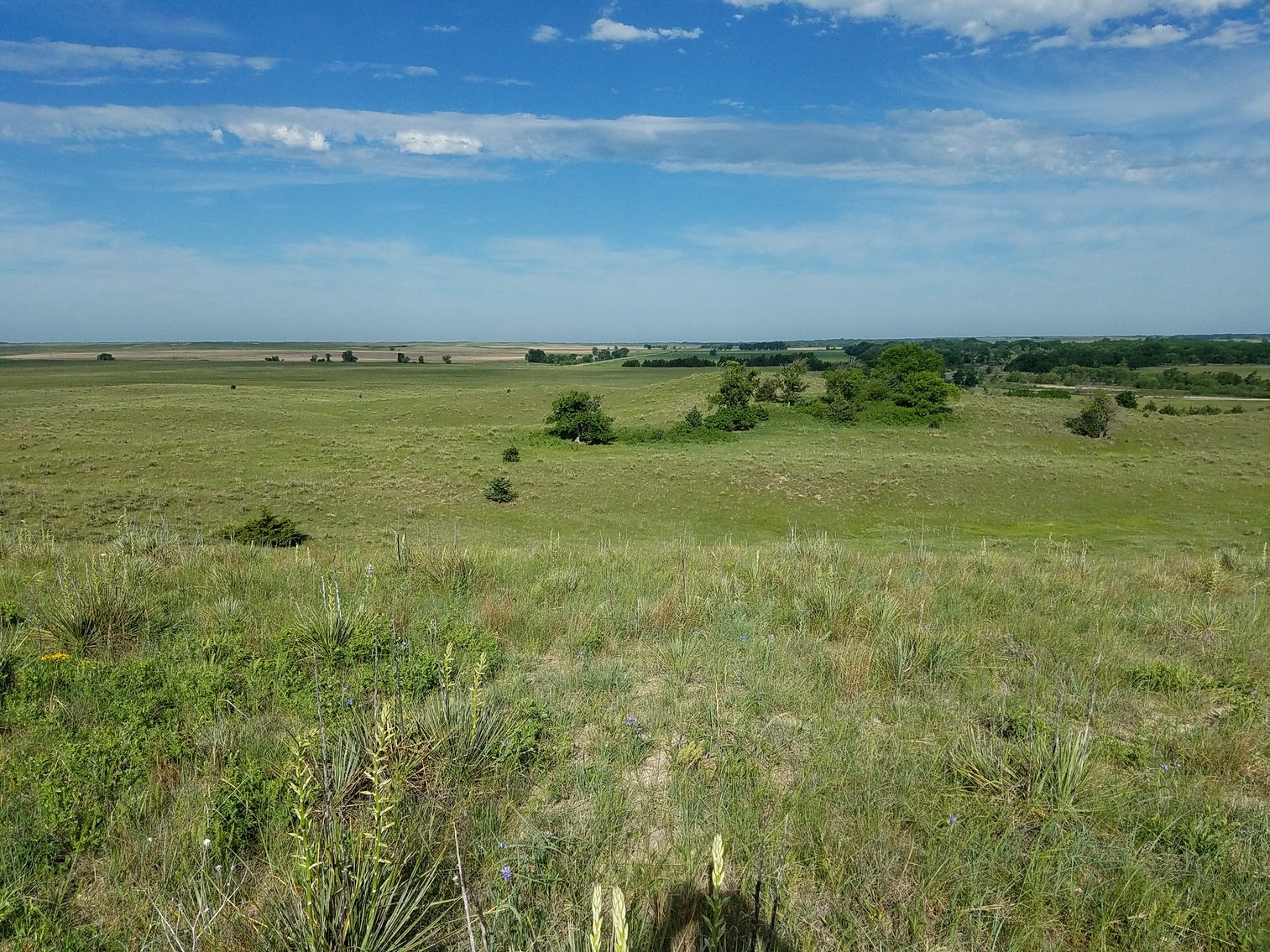 Image for 2,586.17+/- Acres in Holt County, NE Offered in 2 Tracts