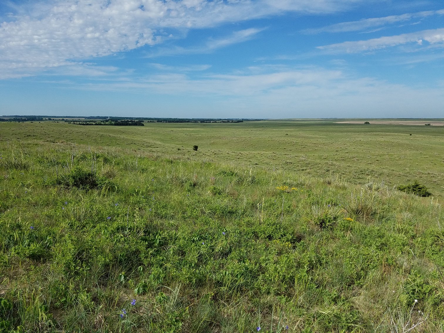 Image for 2,586.17+/- Acres in Holt County, NE Offered in 2 Tracts