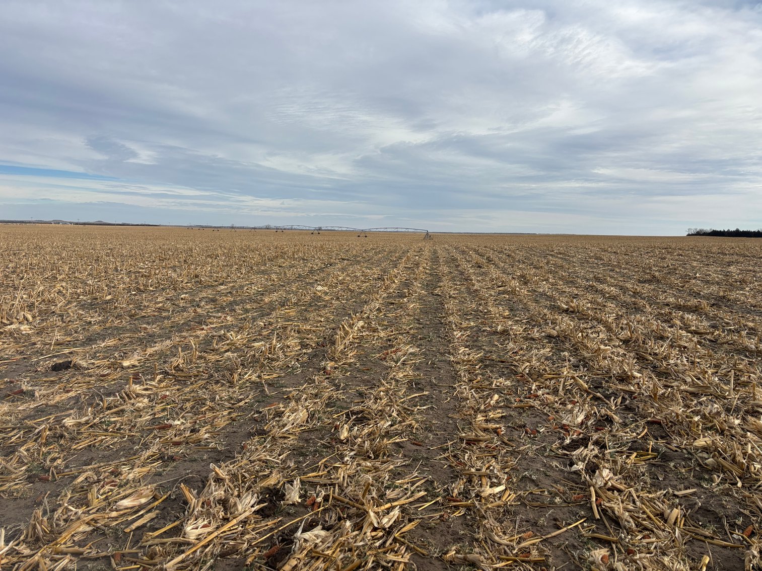 Image for 332.55+/- Acres in Boyd County, Nebraska