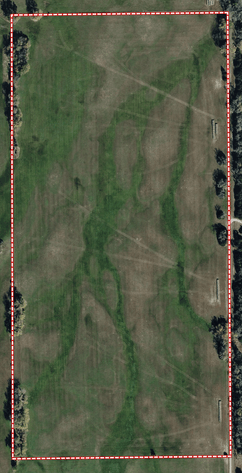 Image for Ziems Farm LLC 80+/- Acres Online Auction ONLY