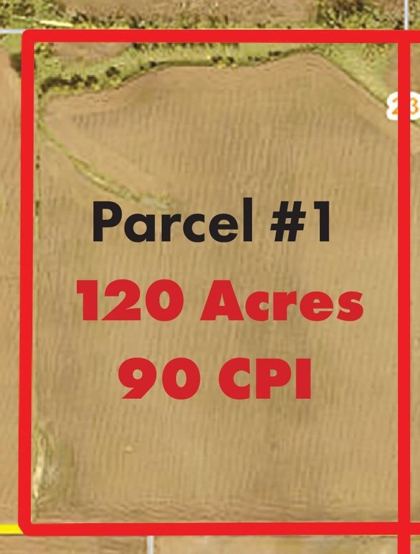 Image for STEVENS COUNTY - 478 + ACRES - DONNELLY TOWNSHIP - FARM LAND AUCTION