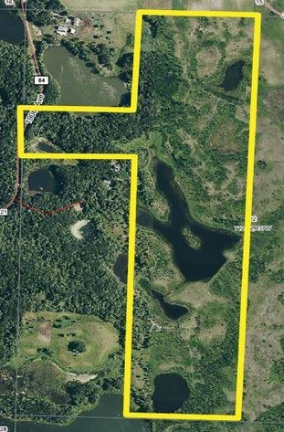 Image for DAVID W. BOHMER FAMILY TRUST POPE COUNTY HUNTING / RECREATION LAND ONLINE ONLY AUCTION