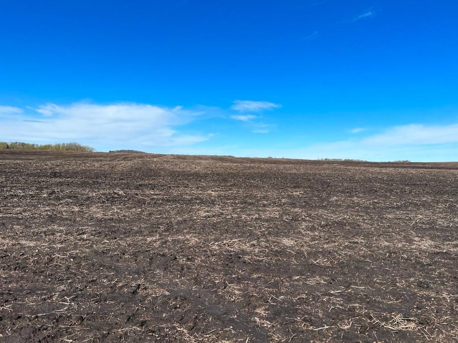 Image for LESLIE & MARILYN ANDERSON - DOUGLAS COUNTY LAND AUCTION