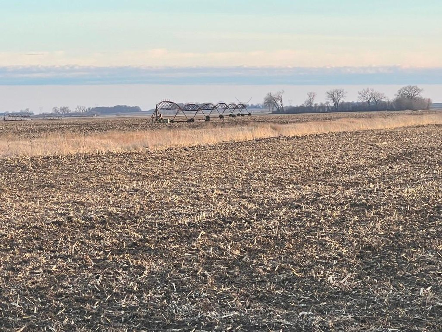 Image for MICHAEL & RENAE OLSON STEVENS COUNTY FARMLAND AUCTION