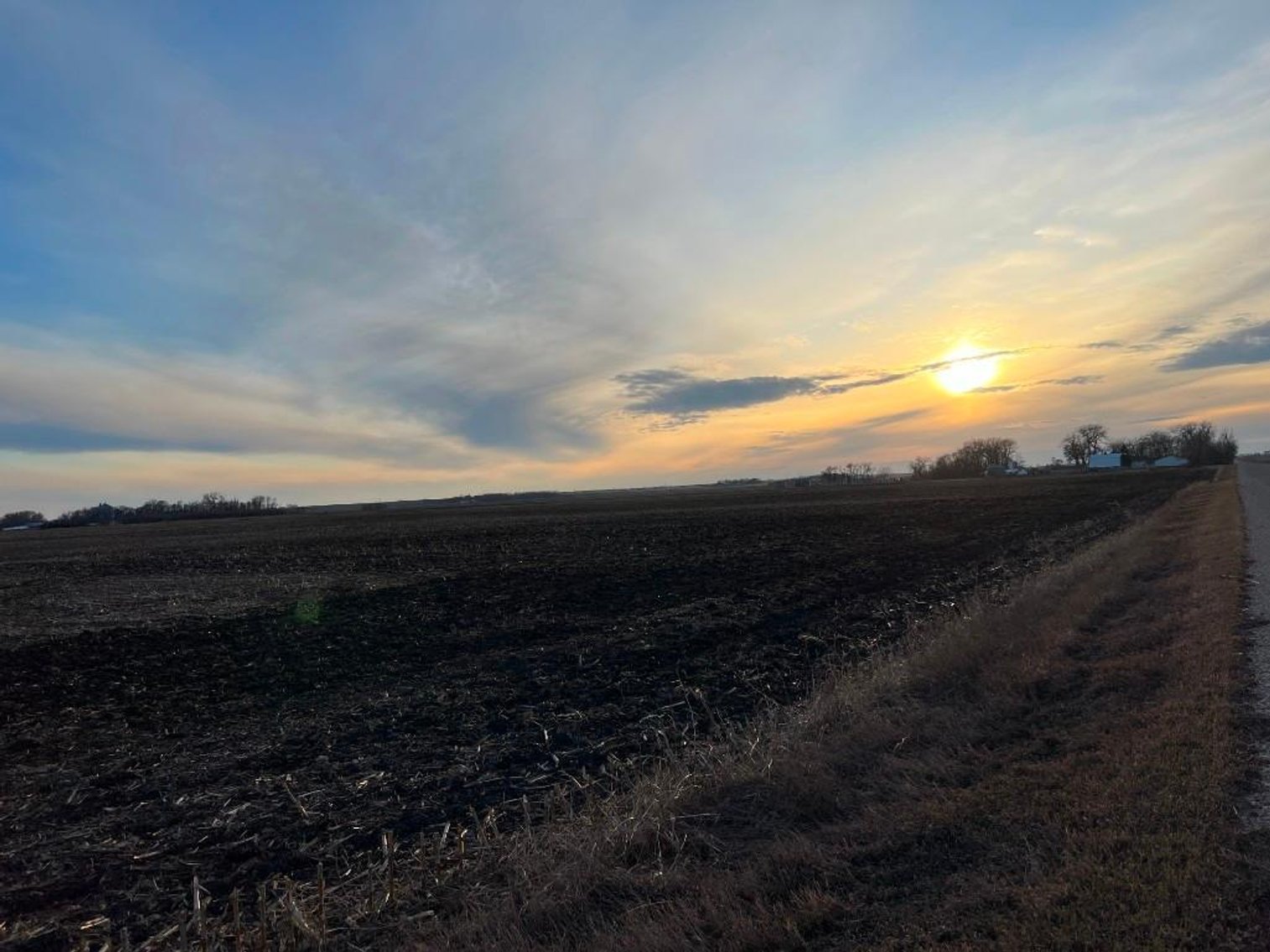 Image for MICHAEL & RENAE OLSON STEVENS COUNTY FARMLAND AUCTION