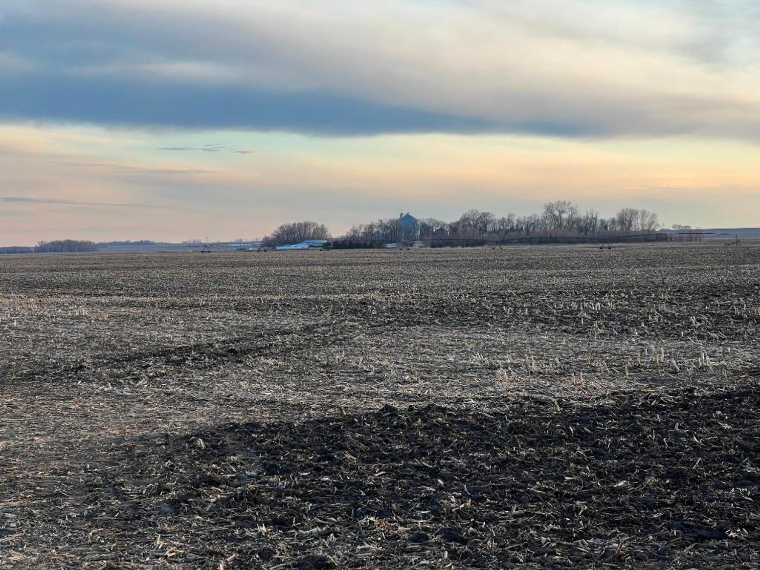 Image for MICHAEL & RENAE OLSON STEVENS COUNTY FARMLAND AUCTION
